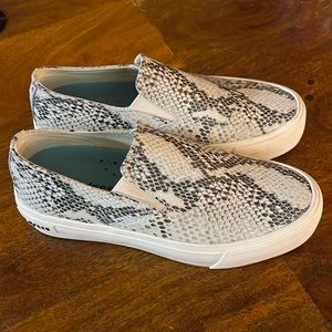 SeaVees Baja Platform Mulholland